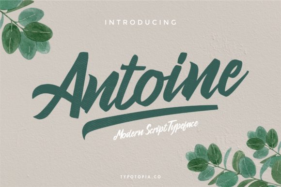 Antoine Font for Business Branding