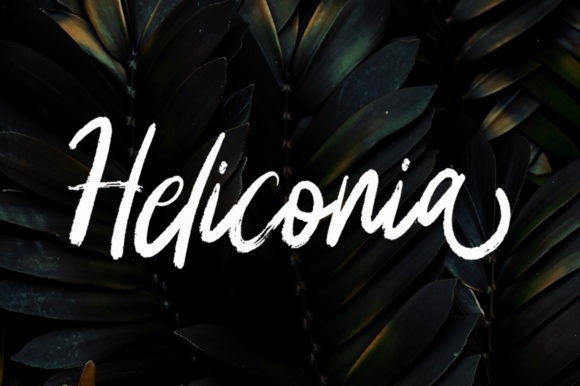Heliconia Font for Creative Design