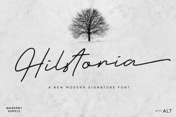 Hilstoria: A Stylish Script Font