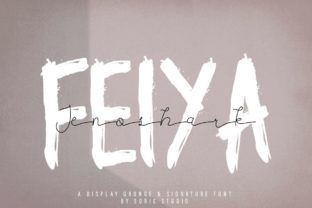 Jenoshark Feiya Font Review
