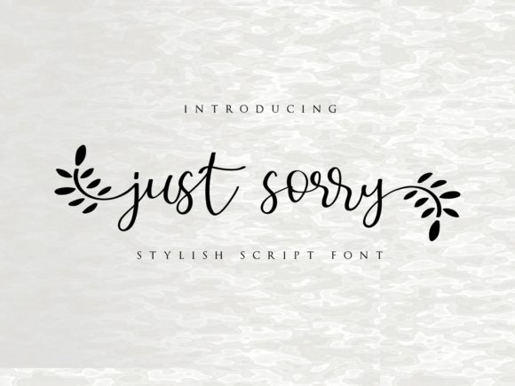 Just Sorry Font Review