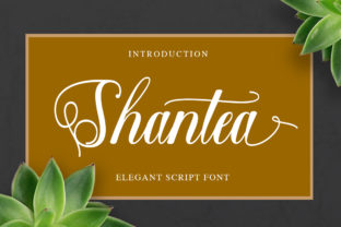 Shantea: A Modern Handwritten Font