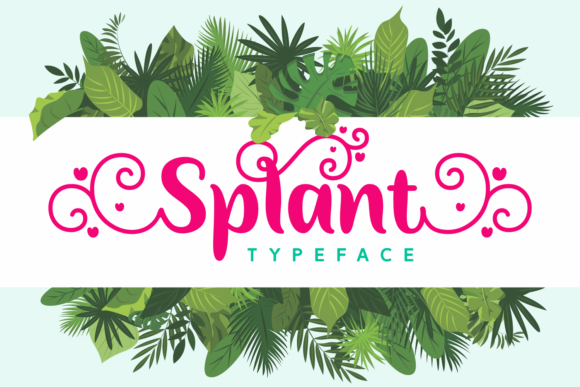 Splant Font for Web Design