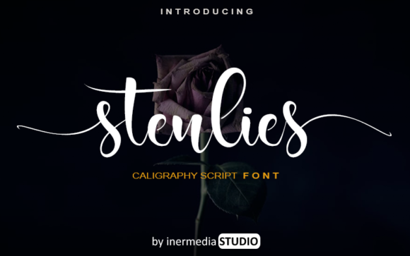 Stenlies Font: A Handwritten Touch for Creative Projects