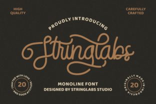 StringLabs Font for Web Design